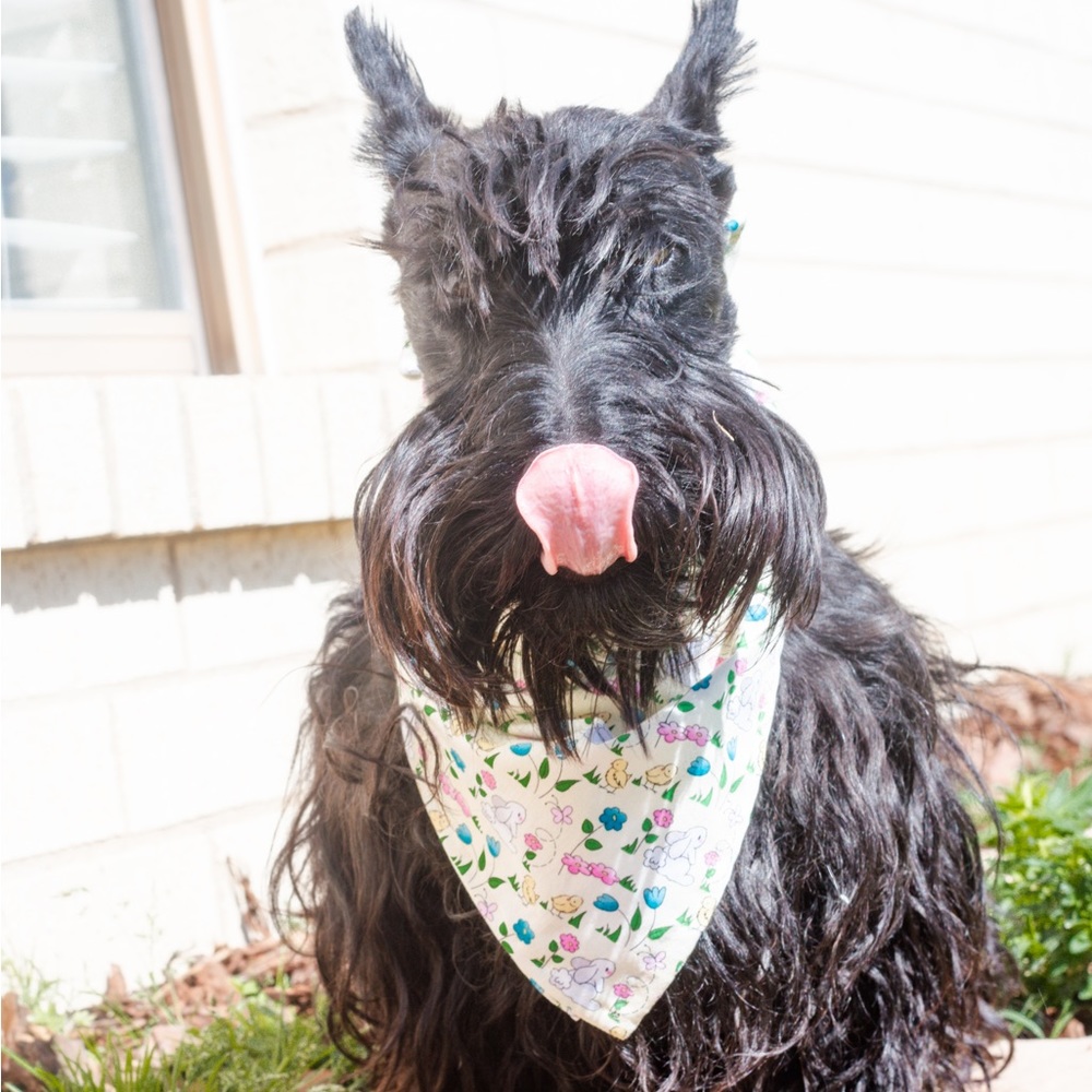 KW Bandanas Spring bandana